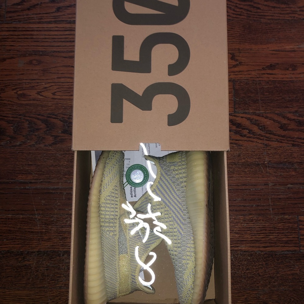 Adidas Yeezy Boost 350 V2 Antlia